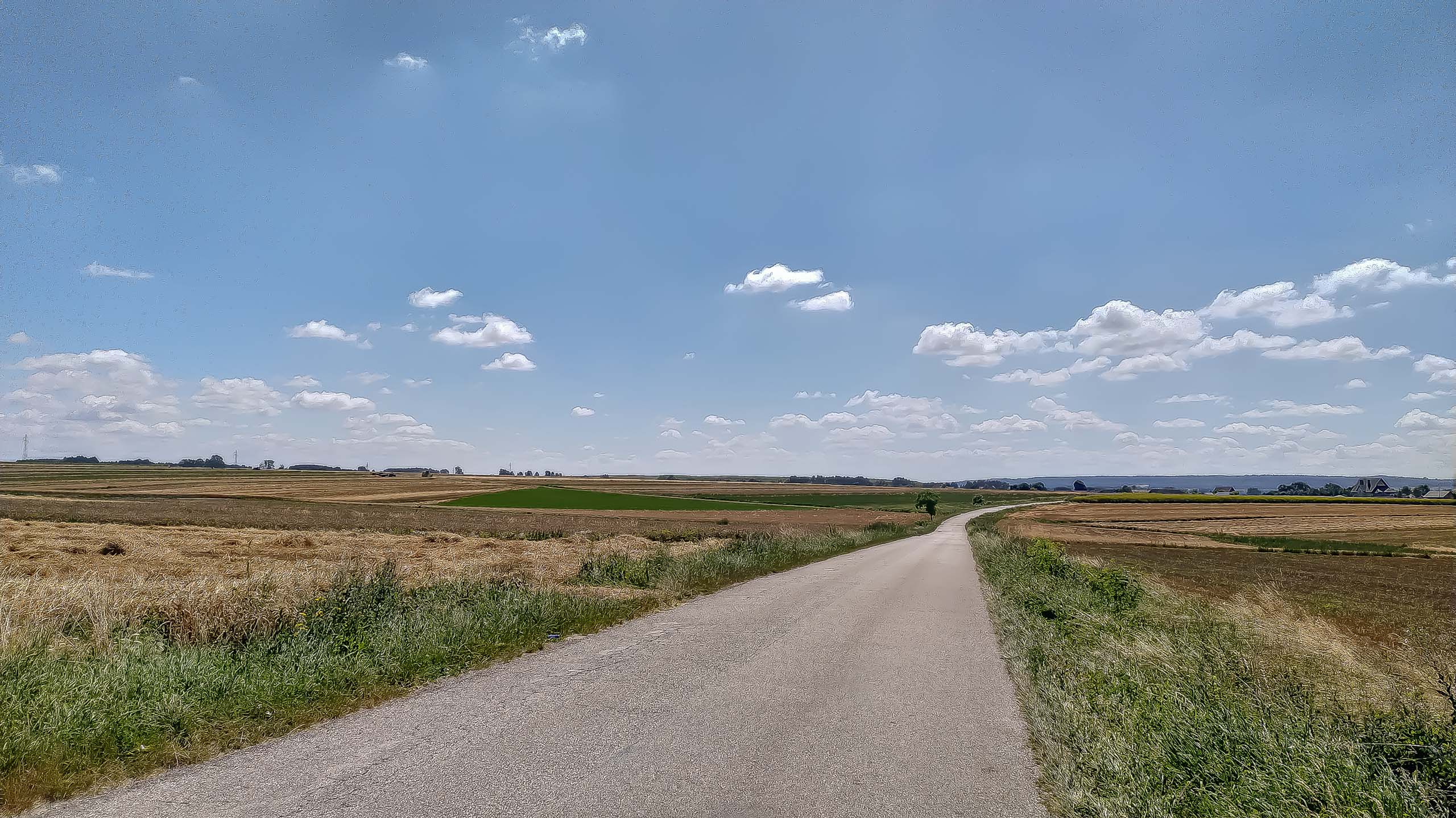 IMG 20200801 125923 kopia